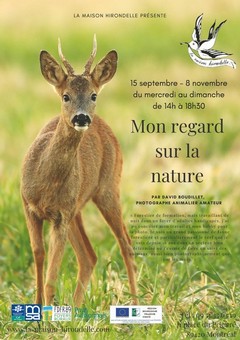 expo_nature_maison_hirondelle (Copier).jpg